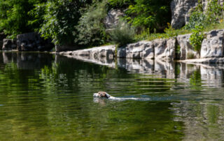 Camping Domaine Arleblanc en Ardèche au bord de la rivière La Beaume, accès direct à la baignade