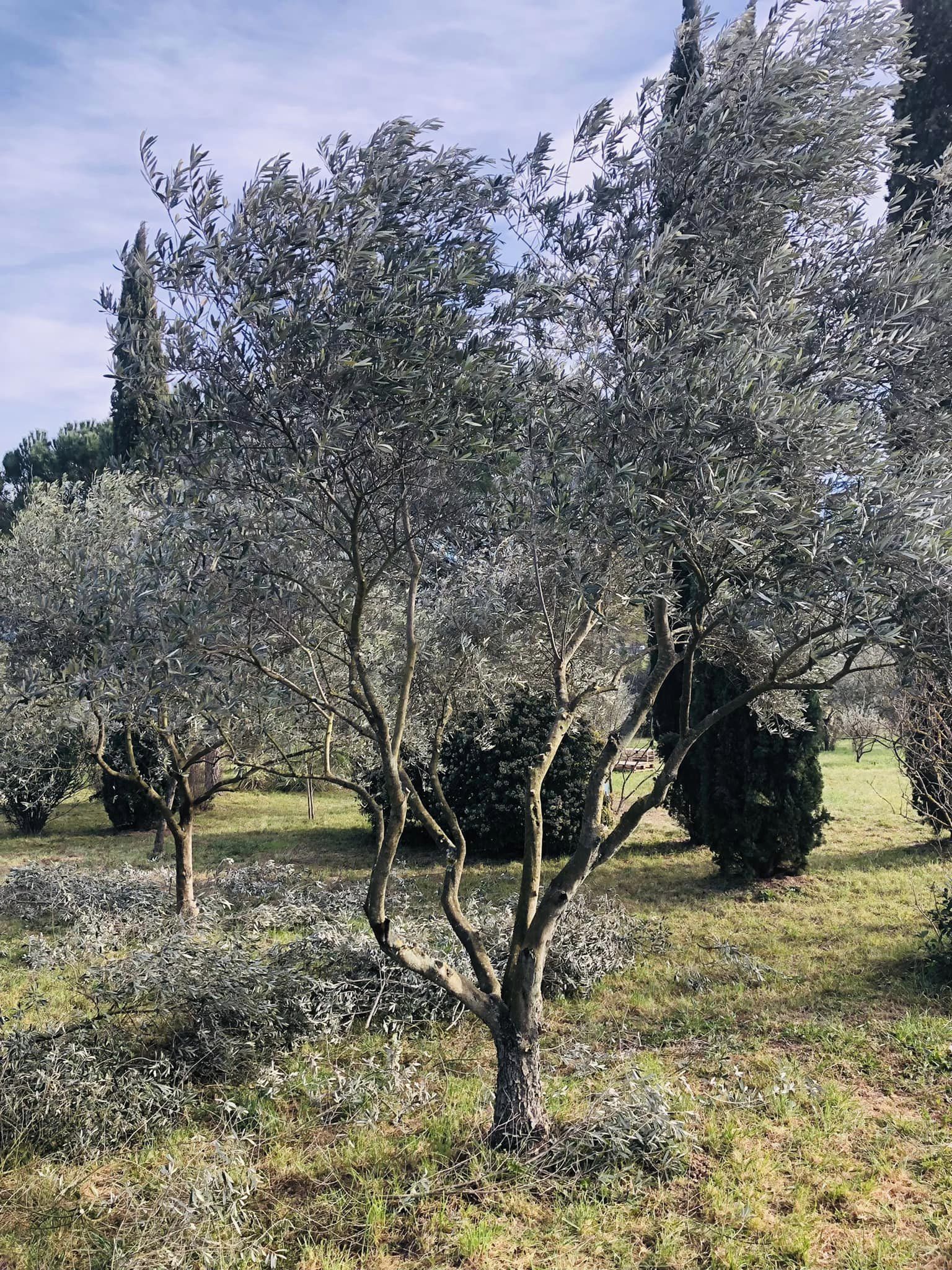 Bastide5