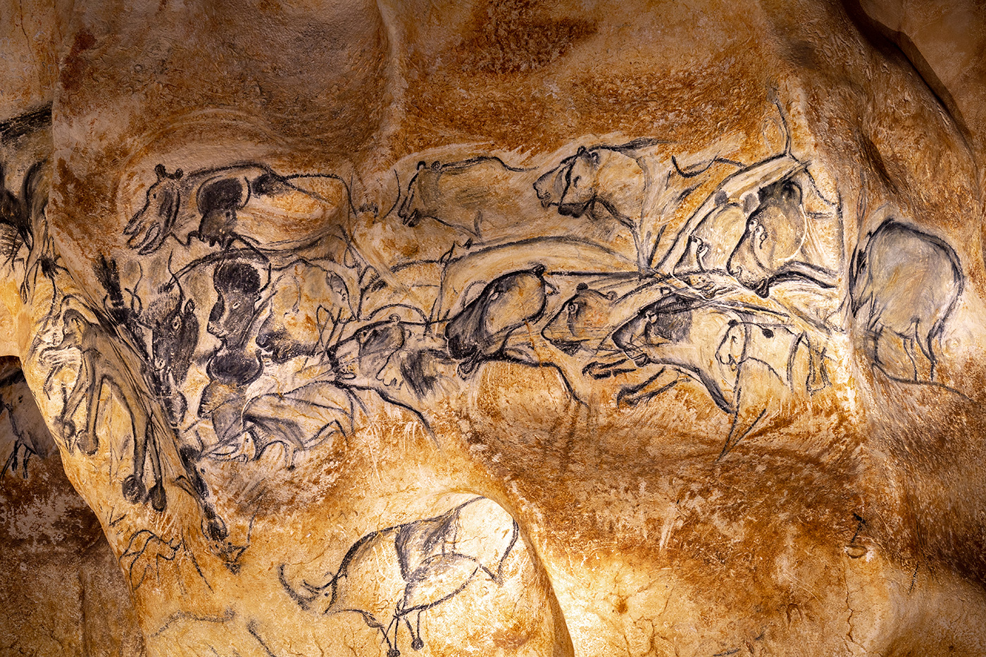 Chauvet5