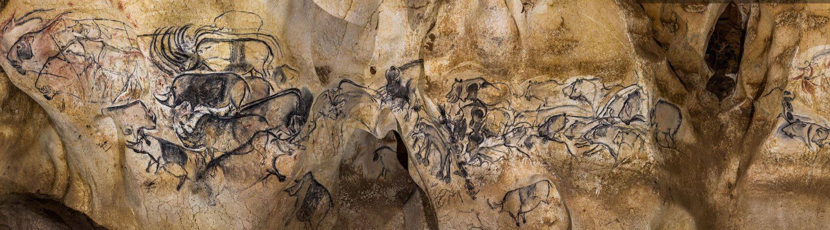 Chauvet9