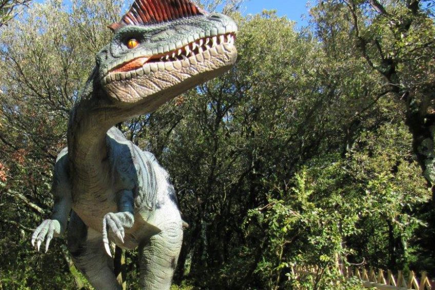 Dino Marzal