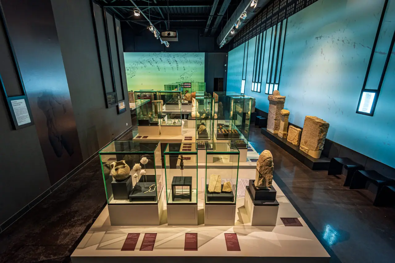 Museal6