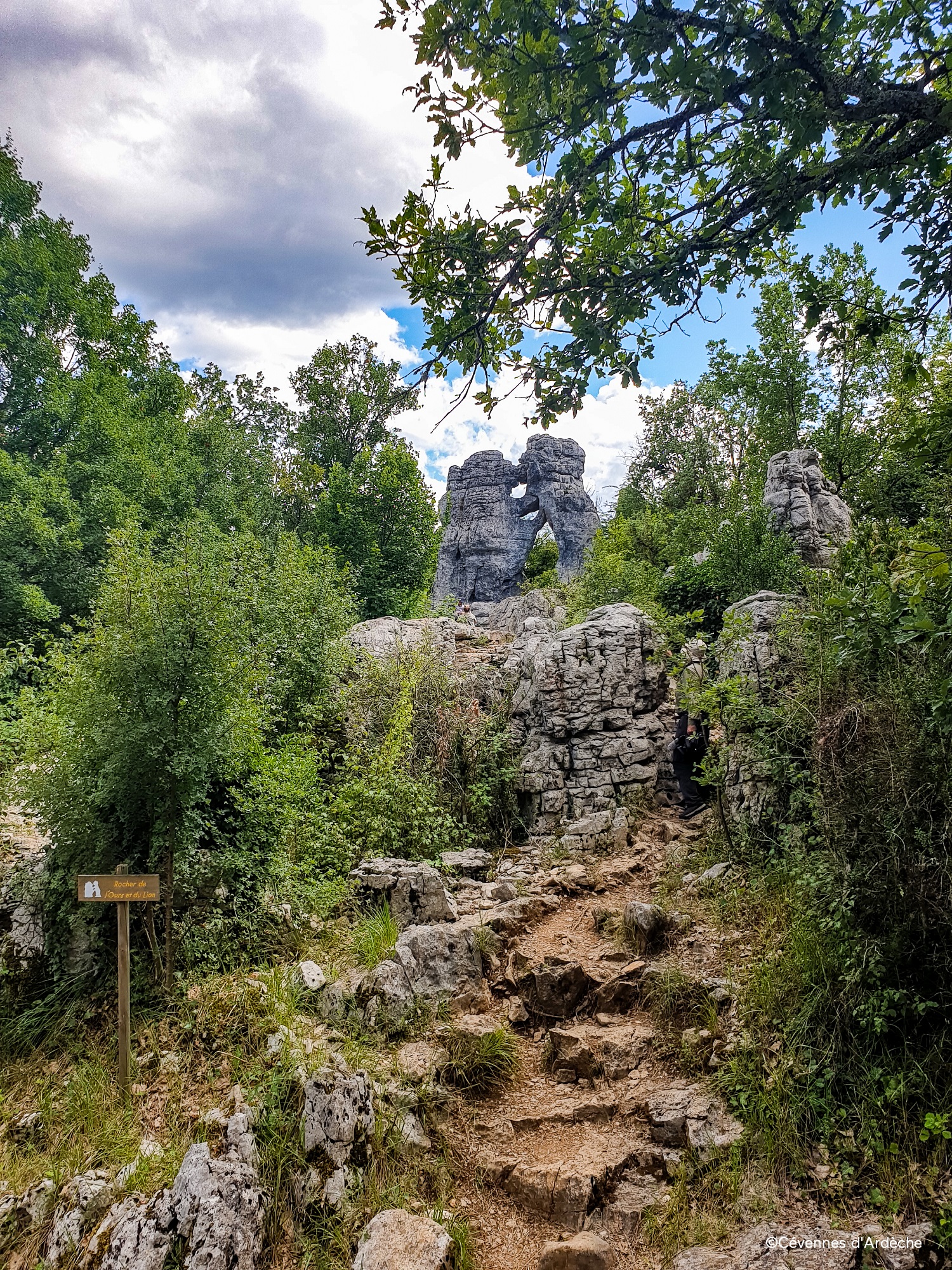 Ours et Lion du Bois de Paiolive ©Cévennes d_Ardèche