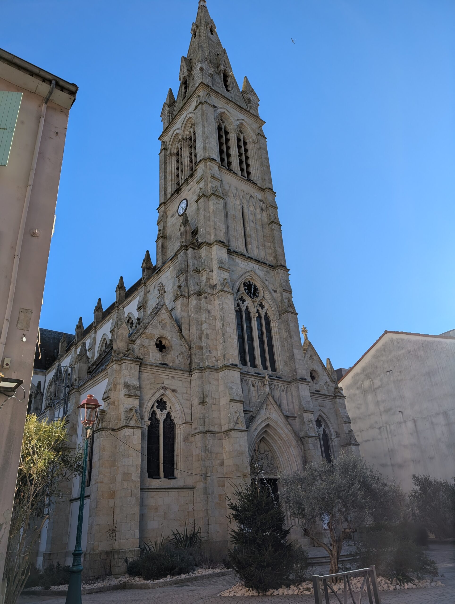 PXL_20241229_103532940