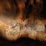 La Grotte Chauvet 2