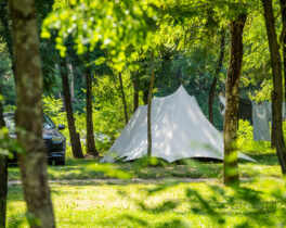 The campsite pitches