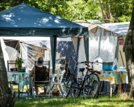 The campsite pitches