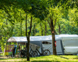 The campsite pitches