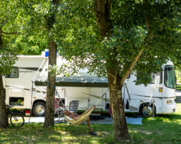The campsite pitches