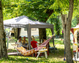 The campsite pitches