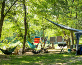 The campsite pitches