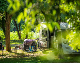 The campsite pitches