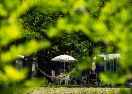 The campsite pitches