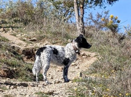 Randonnées en Ardèche